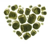 Hallertauer Perle Hallertauer Perle Hopfenpellets zum Bierbrauen, Alphasäuregehalt: 5,3 %