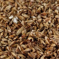 Caramelmalz Carared® für Caramelmalz Carared® für Braunbiere EBC 40-50 geschrotet