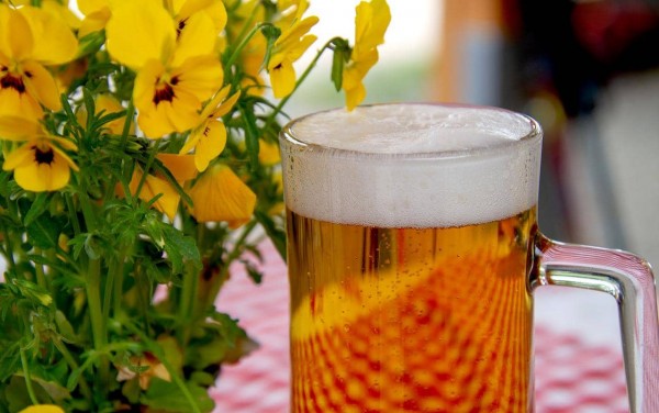 Fr-hlingsbier-Das-richtige-Bier-zum-Fr-hlingserwachen