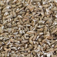 Roggenmalz für Roggenmalz für Spezialbiere, Mehrkornbiere, Roggenbiere EBC 3-8 geschrotet