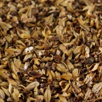 Caramelmalz Caramünch® 1 Caramelmalz Caramünch® 1 für dunkle Biere EBC 80-100 geschrotet