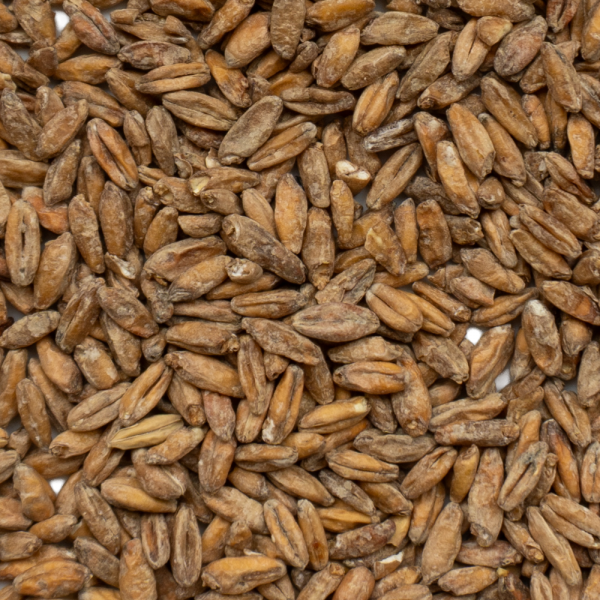 Belgomalt Creative Series Tritordeum Malz 4.5 - 9.5 EBC