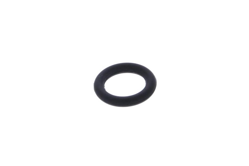 Ersatz Dichtung (O-Ring) für Behälter Typ R Jolly 18 Liter Ventil NC  schwarz
