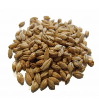 BEST A-XL (4 EBC) - BEST A-XL (4 EBC) - Basismalz