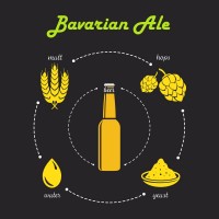 Malzpaket "Bavarian Malzpaket "Bavarian Ale" (Rezept April#2017)