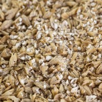 Pale Ale Malz für Pale Ale Malz für Lagerbiere und Ales EBC 5,5-7,5 geschrotet