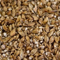 Sauermalz für Pilsner Sauermalz für Pilsner Biere, Leichtbiere, Schankbiere EBC 3-7 geschrotet