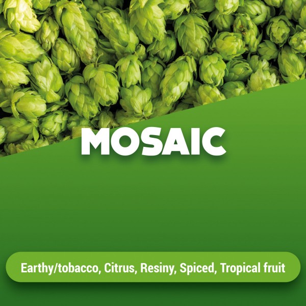 MOSAIC Rohhopfen zum Bierbrauen, Alphasäurengehalt 10 - 13%