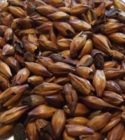 Karamelmalz Special W® Karamelmalz Special W® (250-300 EBC) von Weyermann®