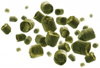 Amarillo® Hopfenpellets Amarillo® Hopfenpellets zum Bierbrauen, Alphasäuregehalt: 7 - 9 %