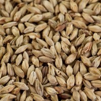 Münchner Malz 2  für Münchner Malz 2  für dunkles Bier EBC 20-25