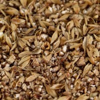 Caramelmalz hell Caramelmalz hell Carahell® für helle Biere EBC 20-30 geschrotet