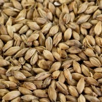 Gerstendiastasemalz EBC Gerstendiastasemalz EBC 2,5 - 4