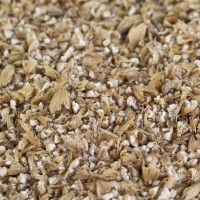 Caramelmalz hell Caramelmalz hell Carapils® für helle Biere EBC 3-5 geschrotet