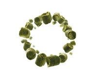 Aurora Hopfenpellets zum Aurora Hopfenpellets zum Bierbrauen, Alphasäuregehalt: 7,3 %